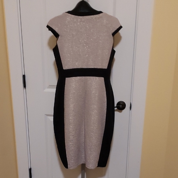 Elegant Sleeveless Beige With Gold and Black Women's Dress Fully Lined Size 10 - Picture 3 of 13